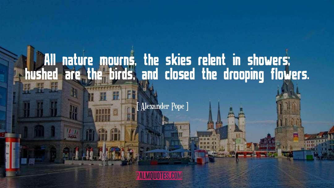 Alexander Pope Quotes: All nature mourns, the skies