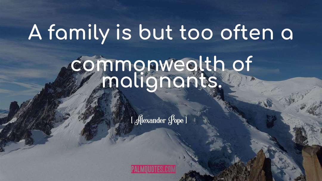 Alexander Pope Quotes: A family is but too