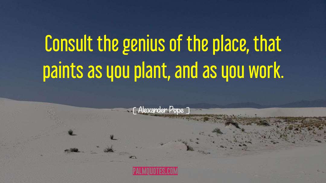 Alexander Pope Quotes: Consult the genius of the