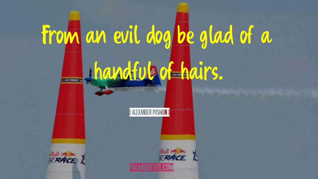 Alexander Pushkin Quotes: From an evil dog be