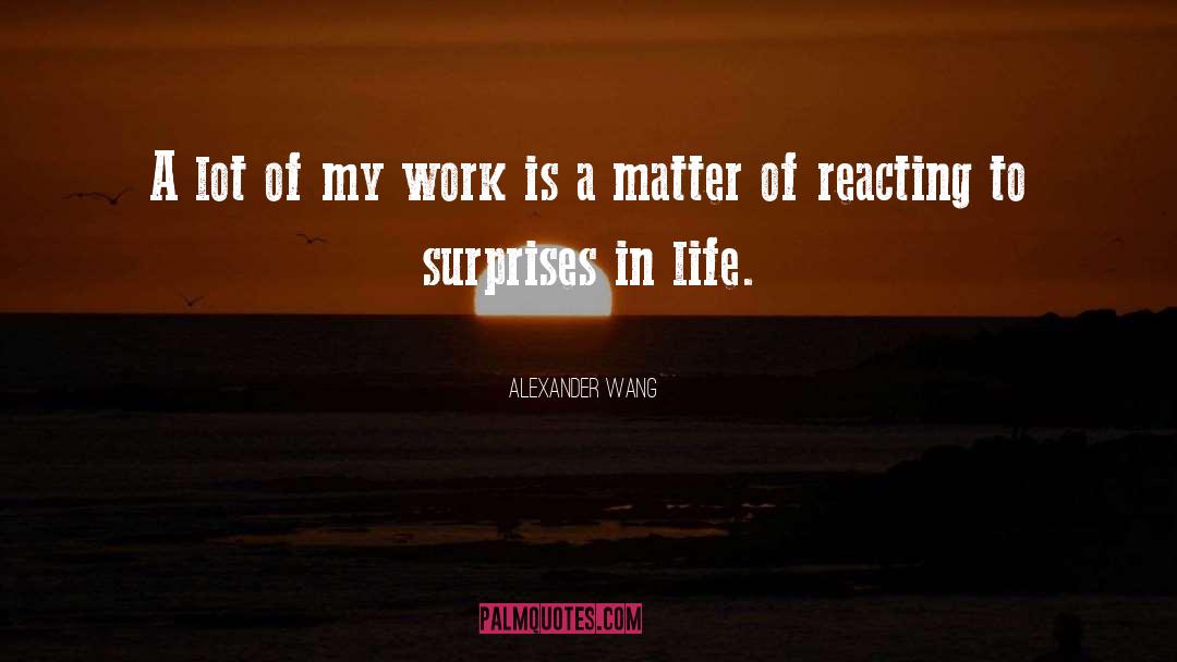 Alexander Wang Quotes: A lot of my work