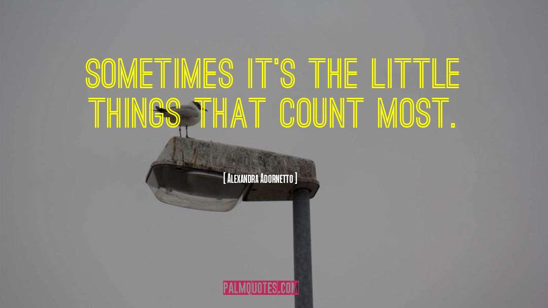 Alexandra Adornetto Quotes: Sometimes it's the little things