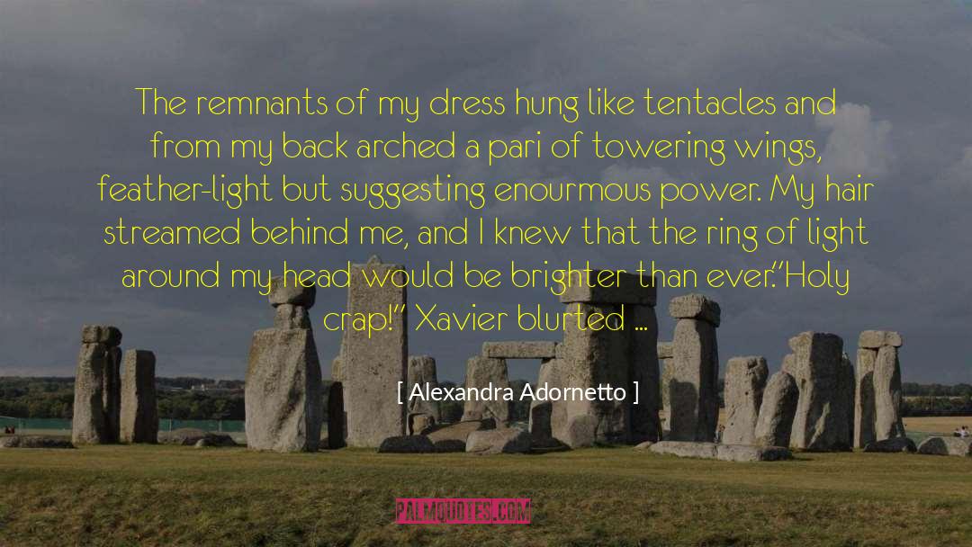 Alexandra Adornetto Quotes: The remnants of my dress