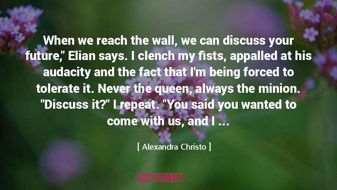 Alexandra Christo Quotes: When we reach the wall,