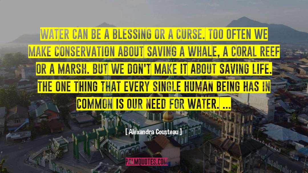 Alexandra Cousteau Quotes: Water can be a blessing