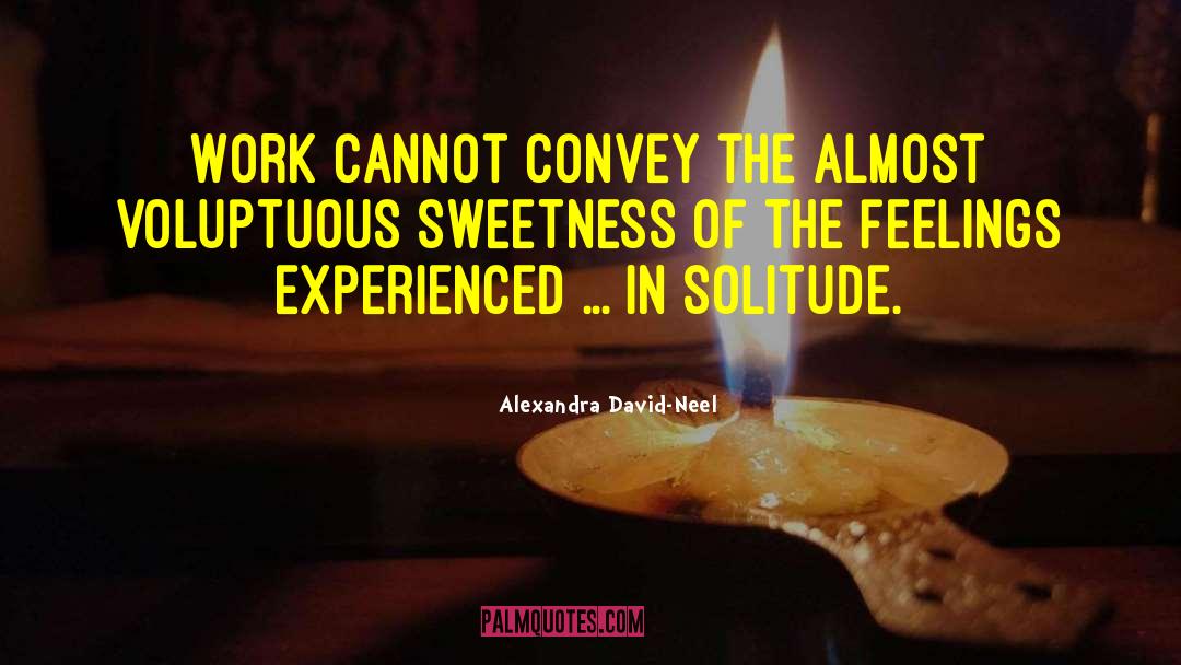 Alexandra David-Neel Quotes: Work cannot convey the almost