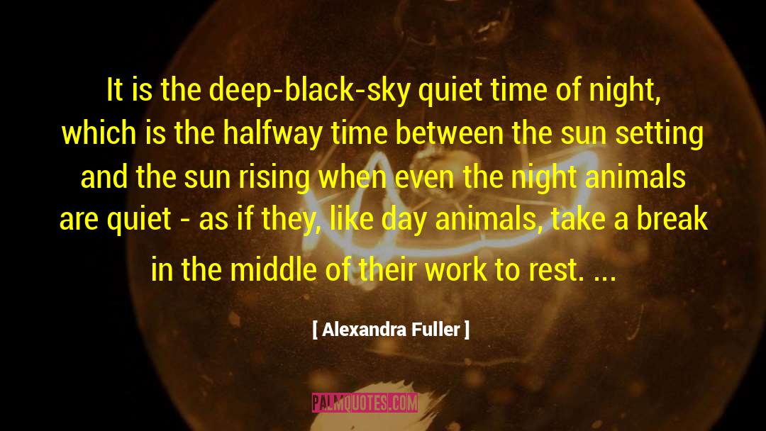 Alexandra Fuller Quotes: It is the deep-black-sky quiet