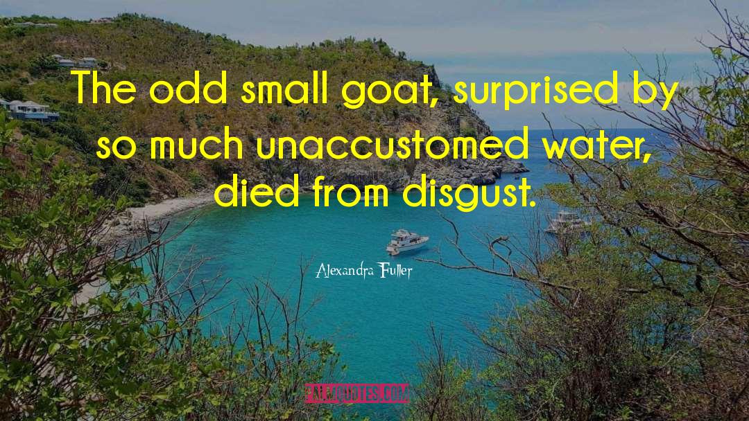 Alexandra Fuller Quotes: The odd small goat, surprised