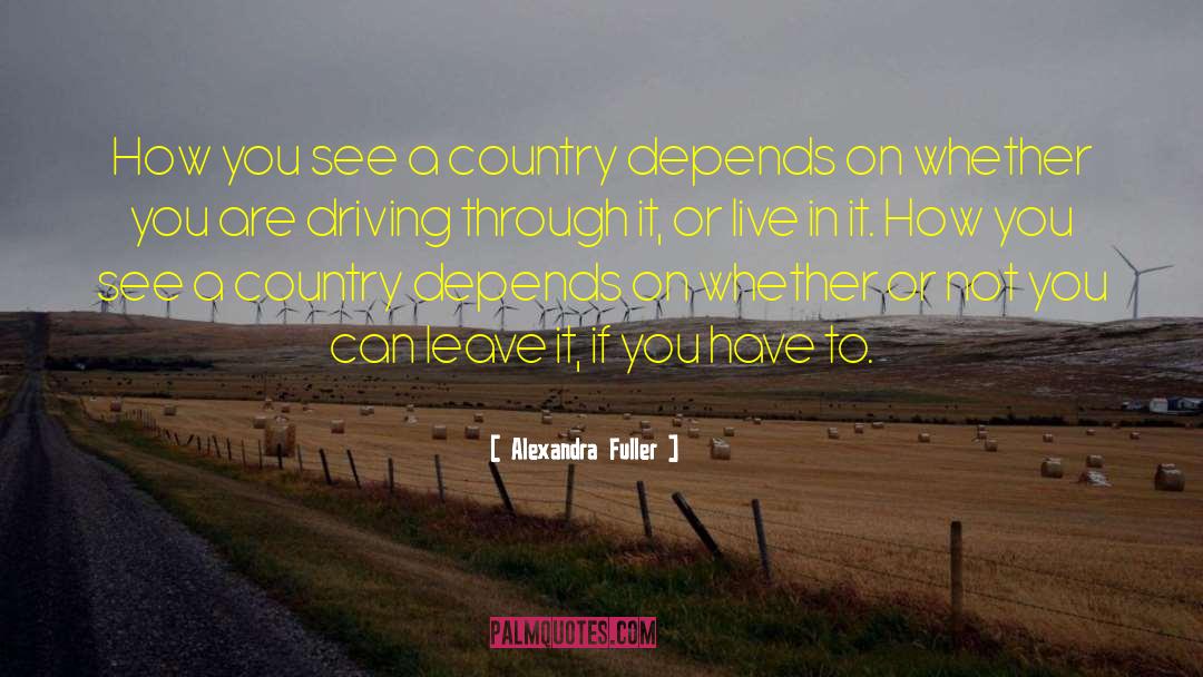 Alexandra Fuller Quotes: How you see a country