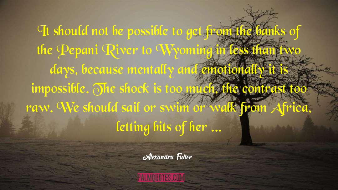 Alexandra Fuller Quotes: It should not be possible