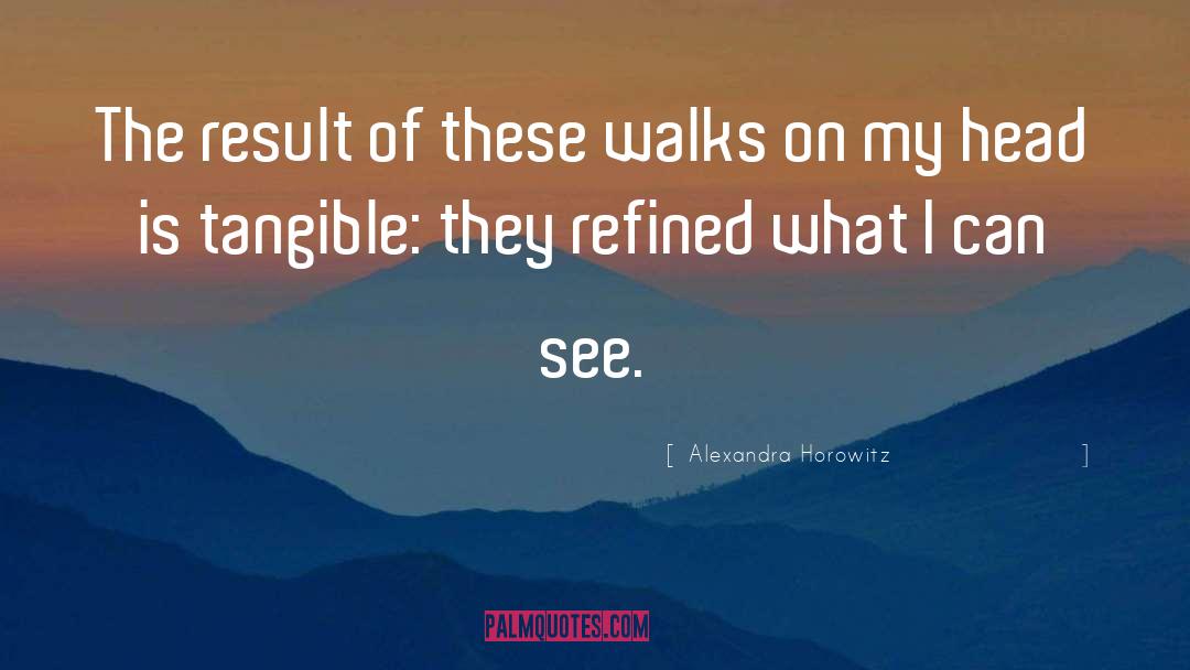 Alexandra Horowitz Quotes: The result of these walks