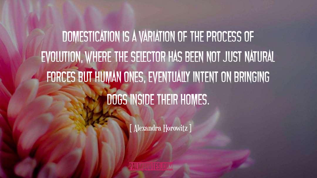 Alexandra Horowitz Quotes: Domestication is a variation of