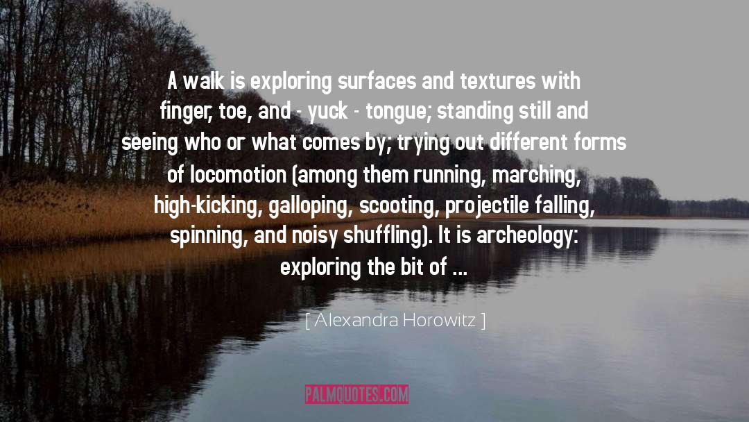 Alexandra Horowitz Quotes: A walk is exploring surfaces