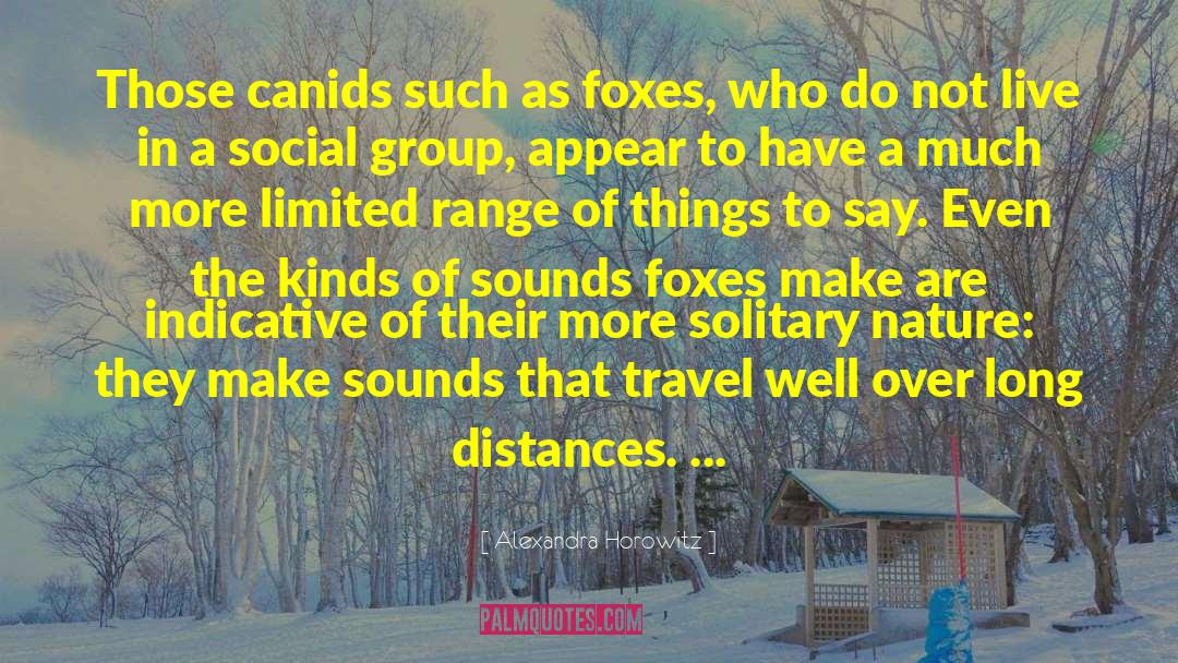 Alexandra Horowitz Quotes: Those canids such as foxes,