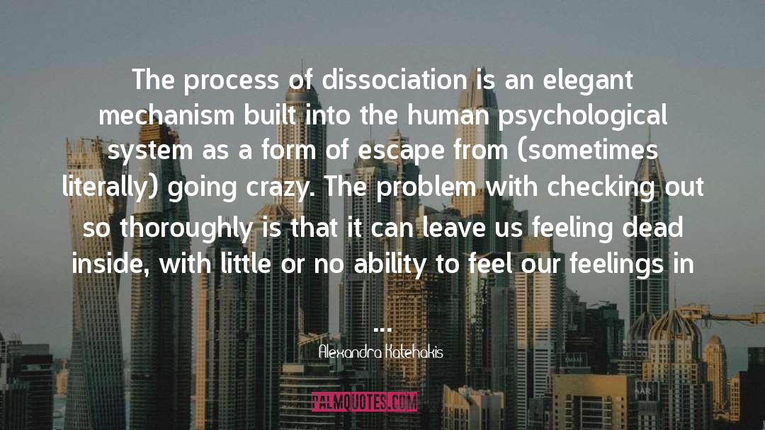 Alexandra Katehakis Quotes: The process of dissociation is