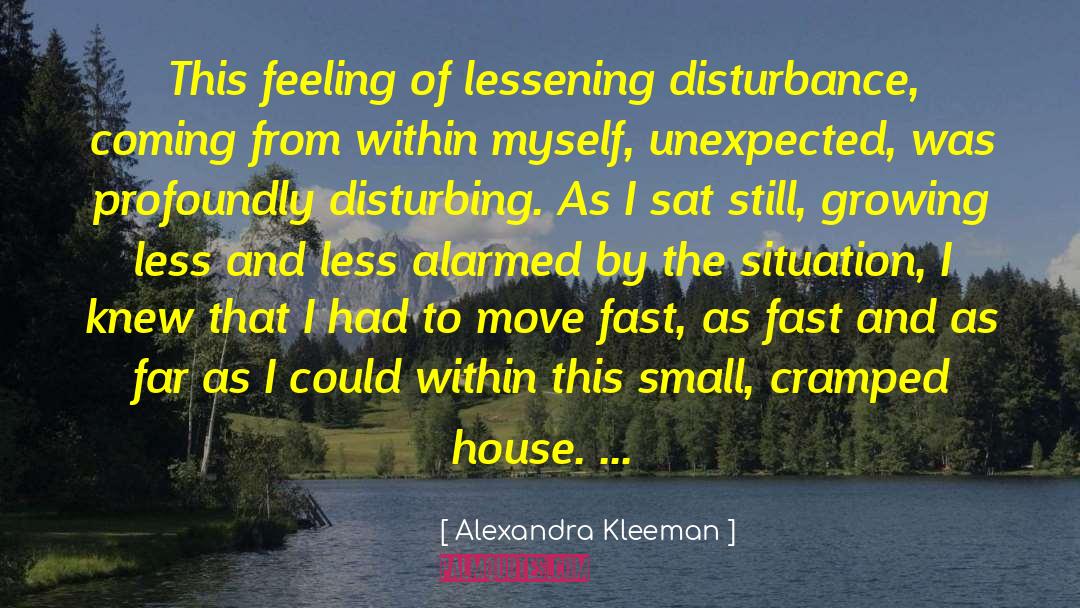 Alexandra Kleeman Quotes: This feeling of lessening disturbance,