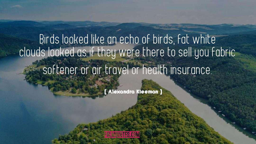 Alexandra Kleeman Quotes: Birds looked like an echo