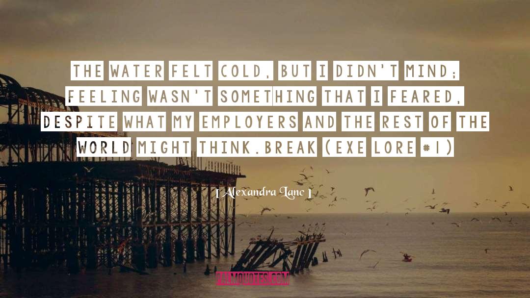 Alexandra Lanc Quotes: The water felt cold, but