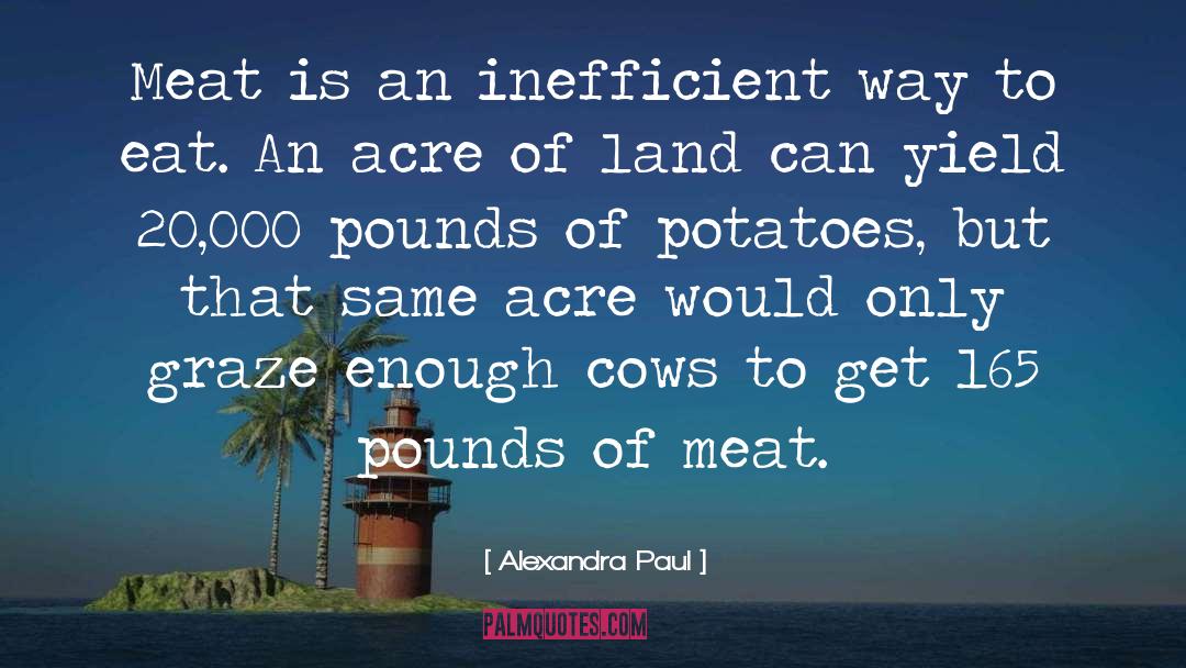 Alexandra Paul Quotes: Meat is an inefficient way