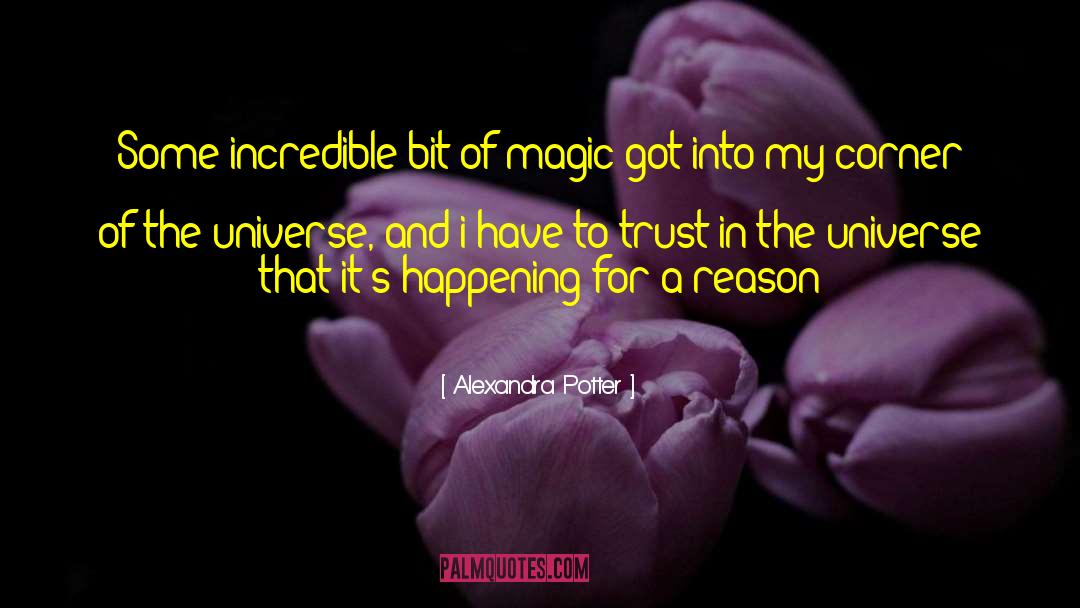 Alexandra Potter Quotes: Some incredible bit of magic