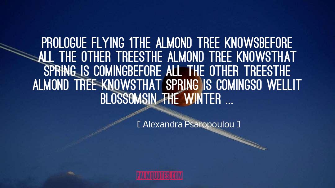 Alexandra Psaropoulou Quotes: Prologue <br />Flying 1<br /><br