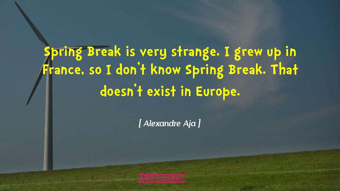 Alexandre Aja Quotes: Spring Break is very strange.