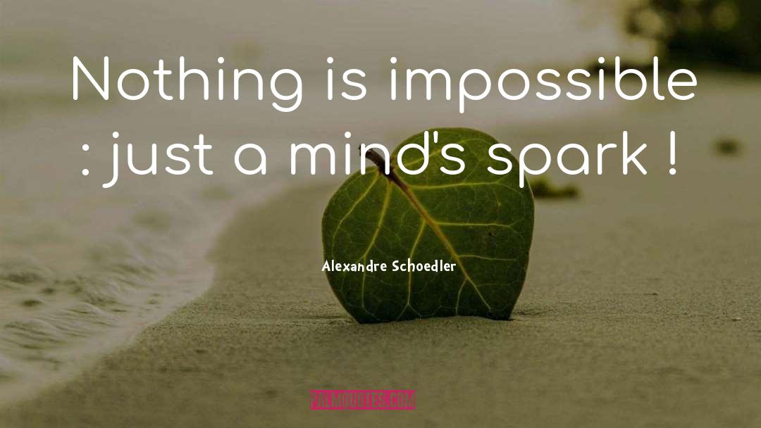Alexandre Schoedler Quotes: Nothing is impossible : just