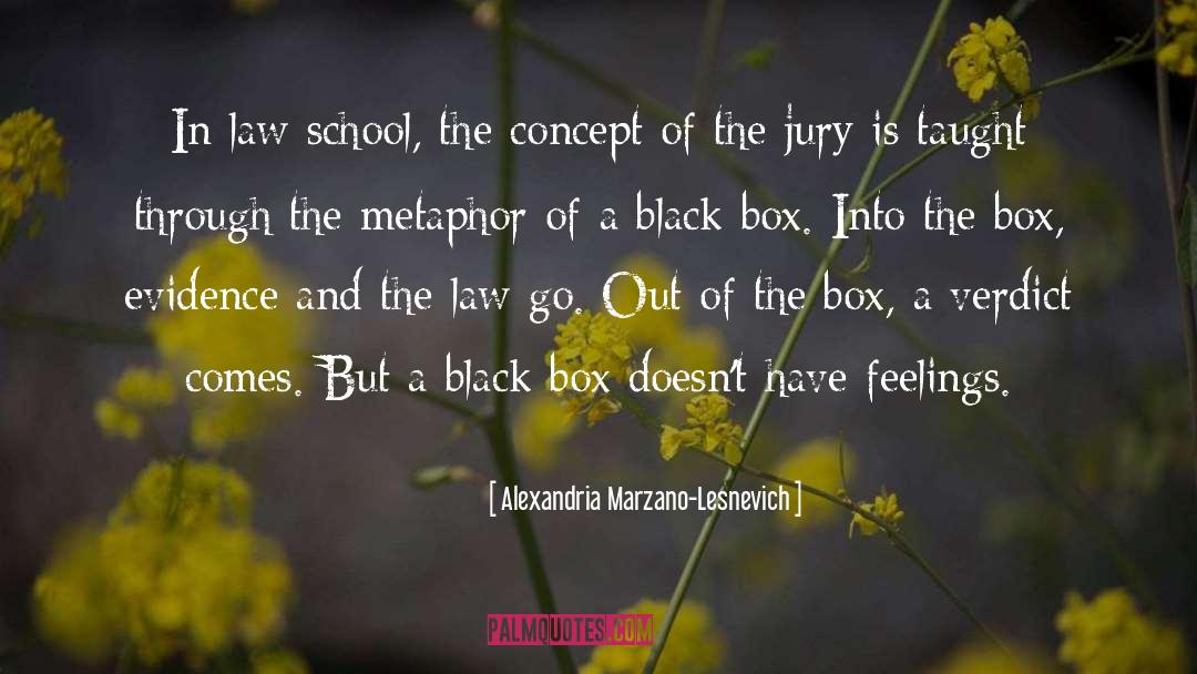 Alexandria Marzano-Lesnevich Quotes: In law school, the concept