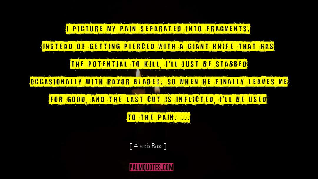 Alexis Bass Quotes: I picture my pain separated