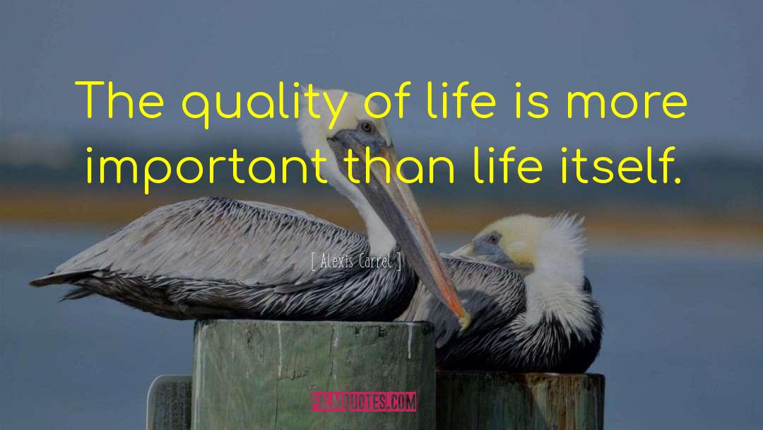Alexis Carrel Quotes: The quality of life is