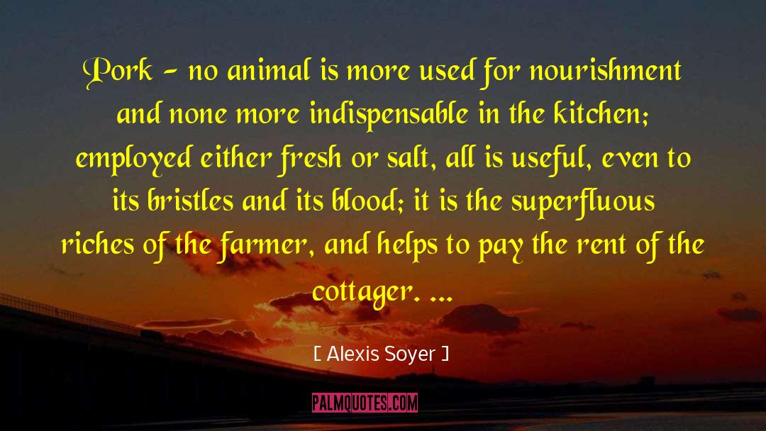 Alexis Soyer Quotes: Pork - no animal is