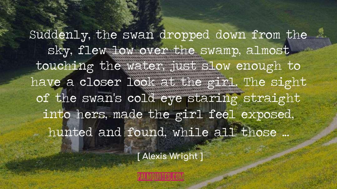 Alexis Wright Quotes: Suddenly, the swan dropped down