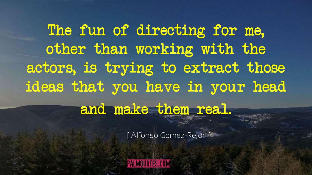 Alfonso Gomez-Rejon Quotes: The fun of directing for