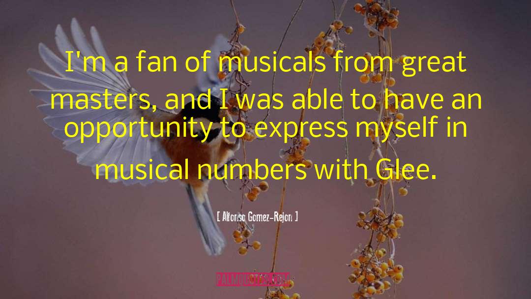 Alfonso Gomez-Rejon Quotes: I'm a fan of musicals