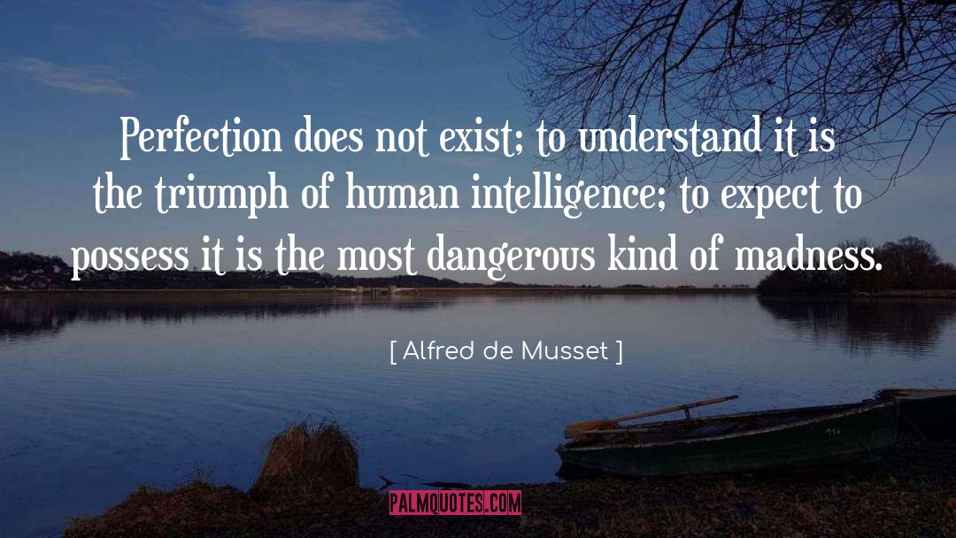 Alfred De Musset Quotes: Perfection does not exist; to