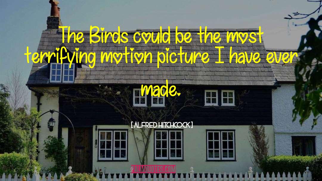 Alfred Hitchcock Quotes: The Birds could be the
