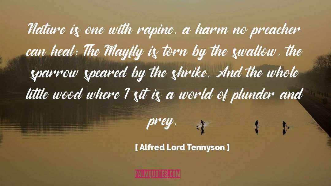 Alfred Lord Tennyson Quotes: Nature is one with rapine,