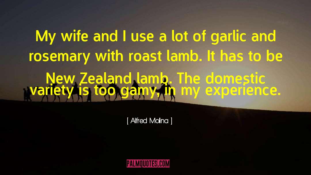 Alfred Molina Quotes: My wife and I use