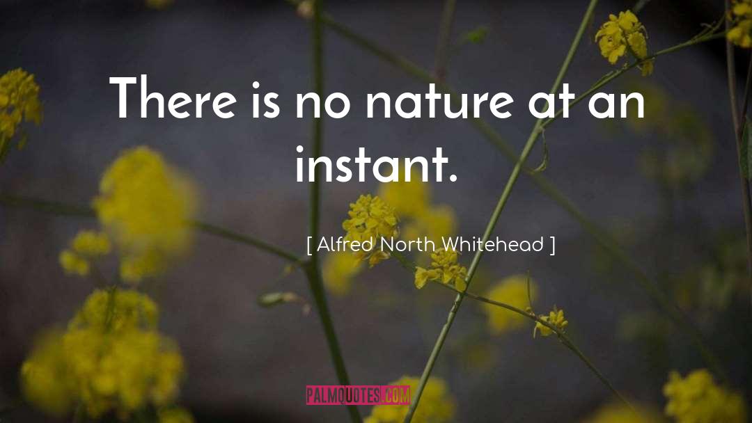 Alfred North Whitehead Quotes: There is no nature at