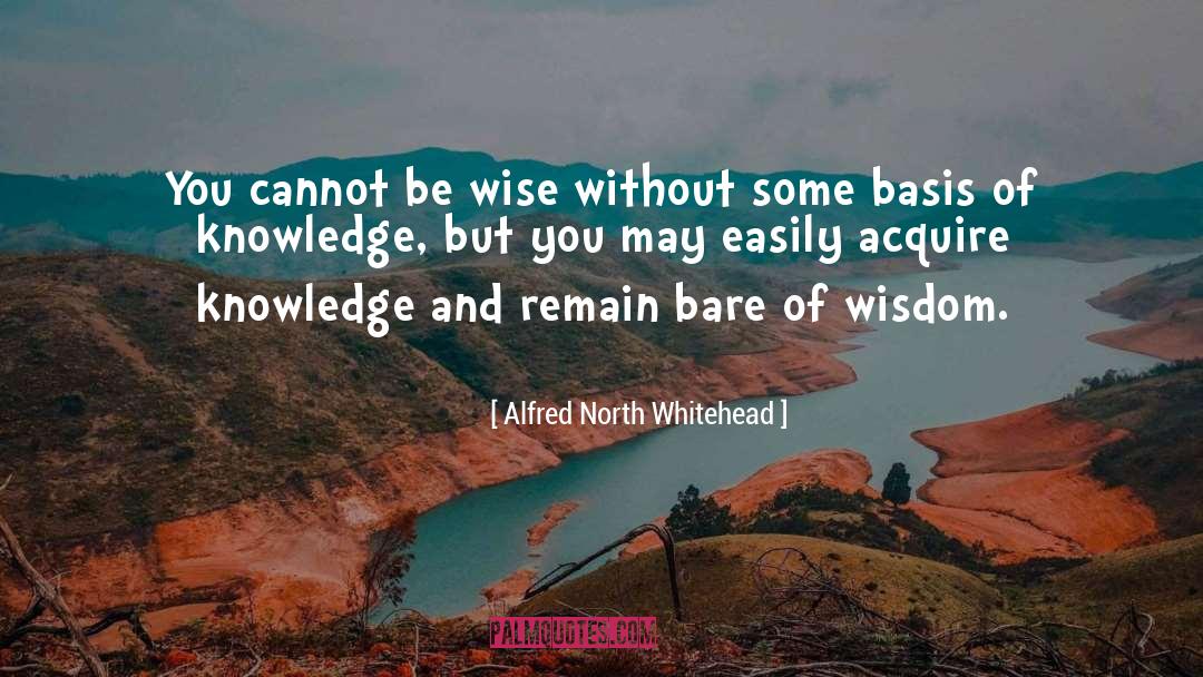 Alfred North Whitehead Quotes: You cannot be wise without