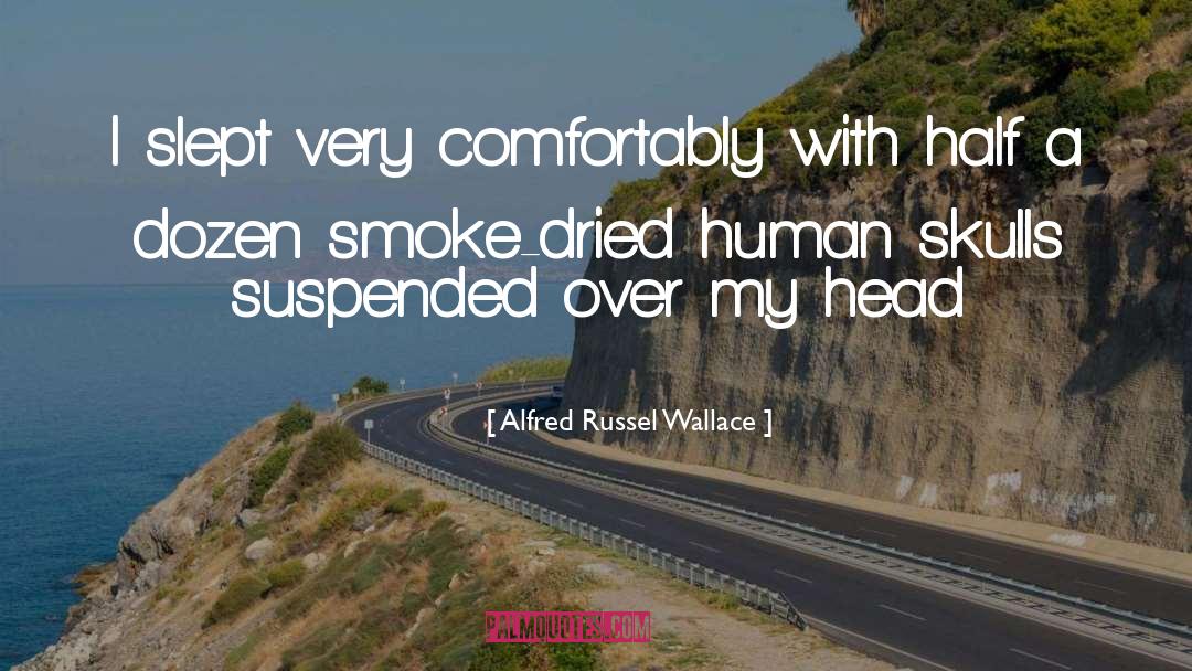 Alfred Russel Wallace Quotes: I slept very comfortably with