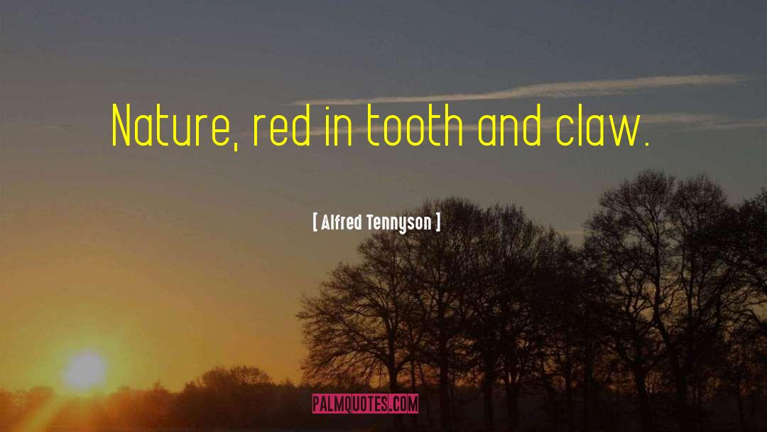Alfred Tennyson Quotes: Nature, red in tooth and