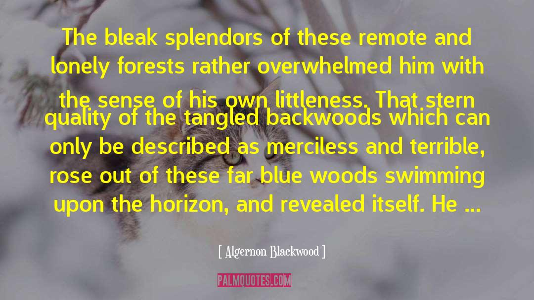 Algernon Blackwood Quotes: The bleak splendors of these