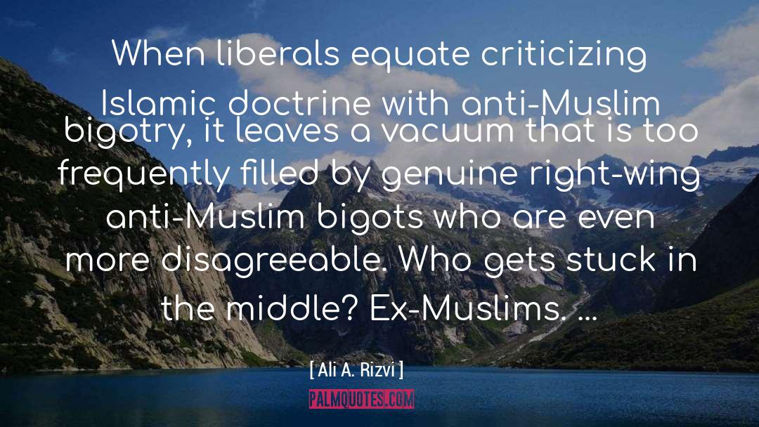 Ali A. Rizvi Quotes: When liberals equate criticizing Islamic