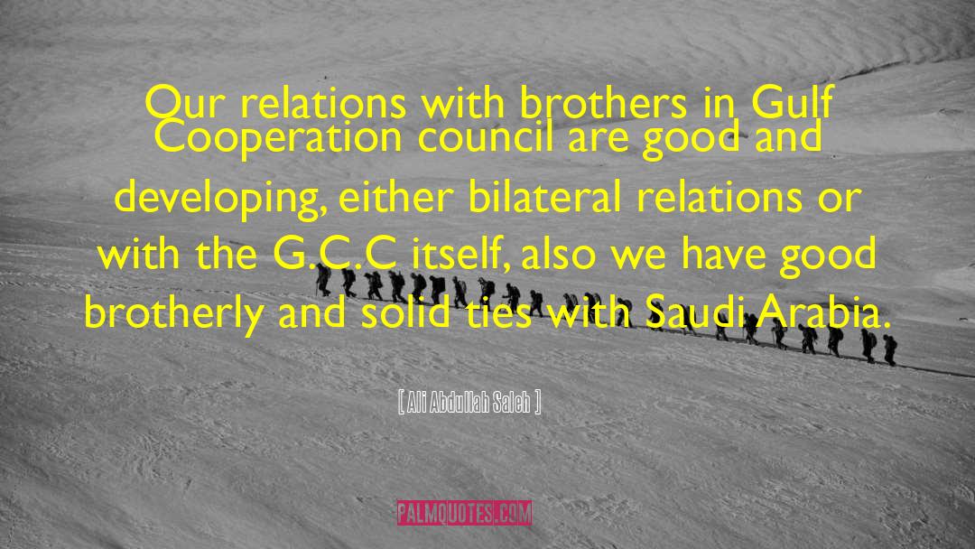 Ali Abdullah Saleh Quotes: Our relations with brothers in