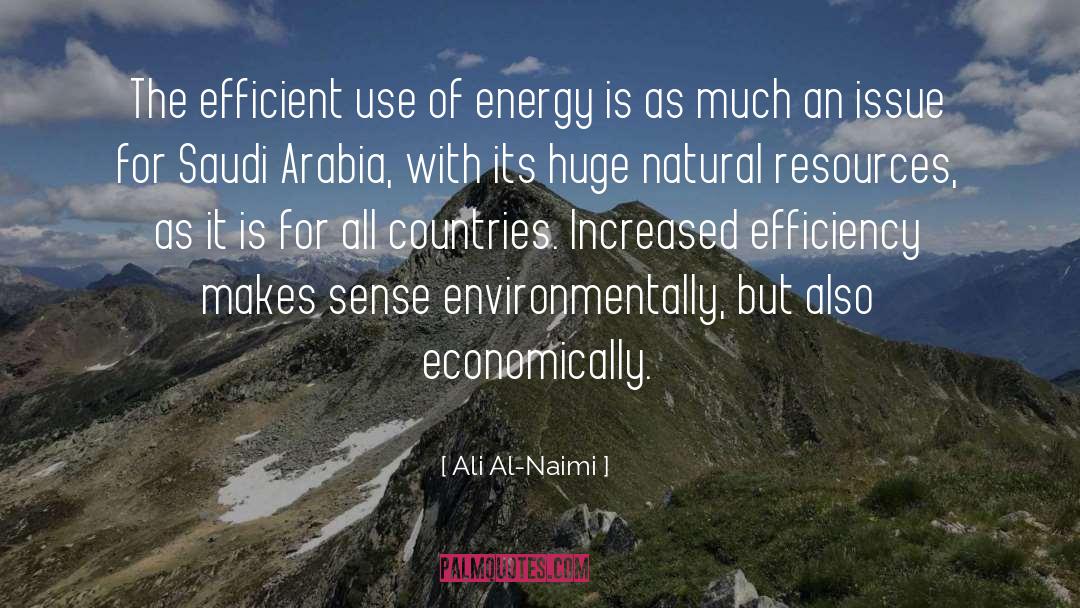 Ali Al-Naimi Quotes: The efficient use of energy
