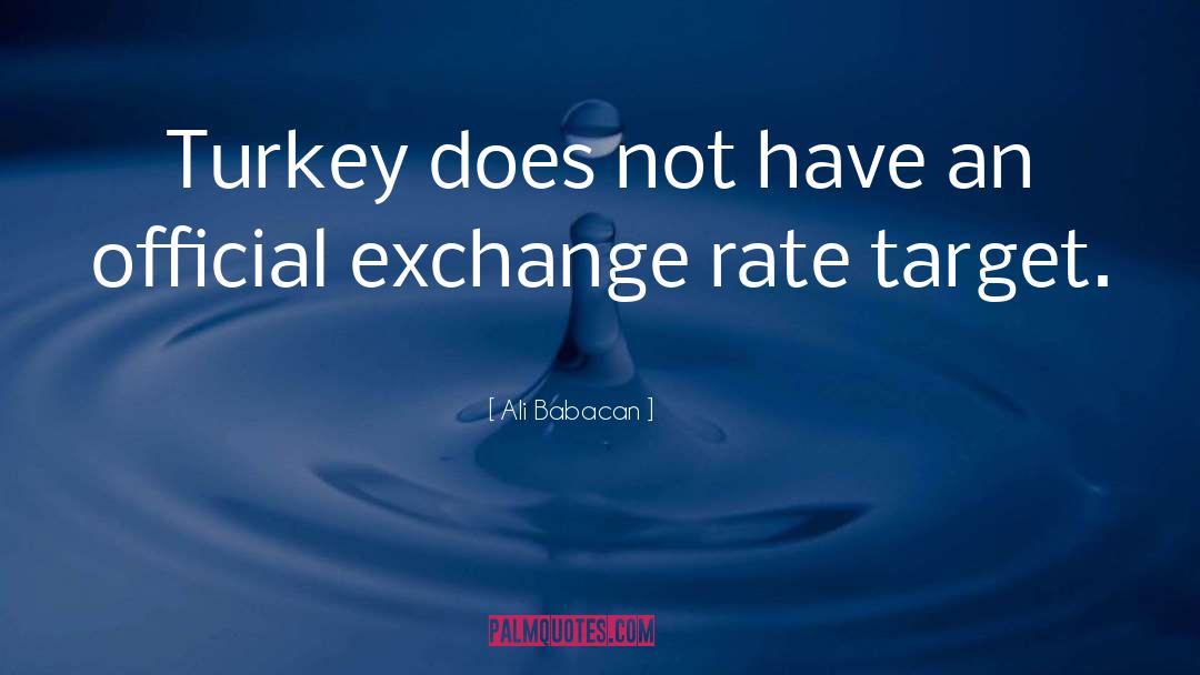 Ali Babacan Quotes: Turkey does not have an