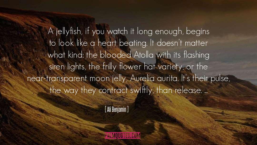 Ali Benjamin Quotes: A jellyfish, if you watch