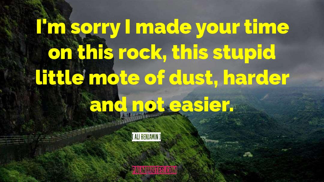 Ali Benjamin Quotes: I'm sorry I made your
