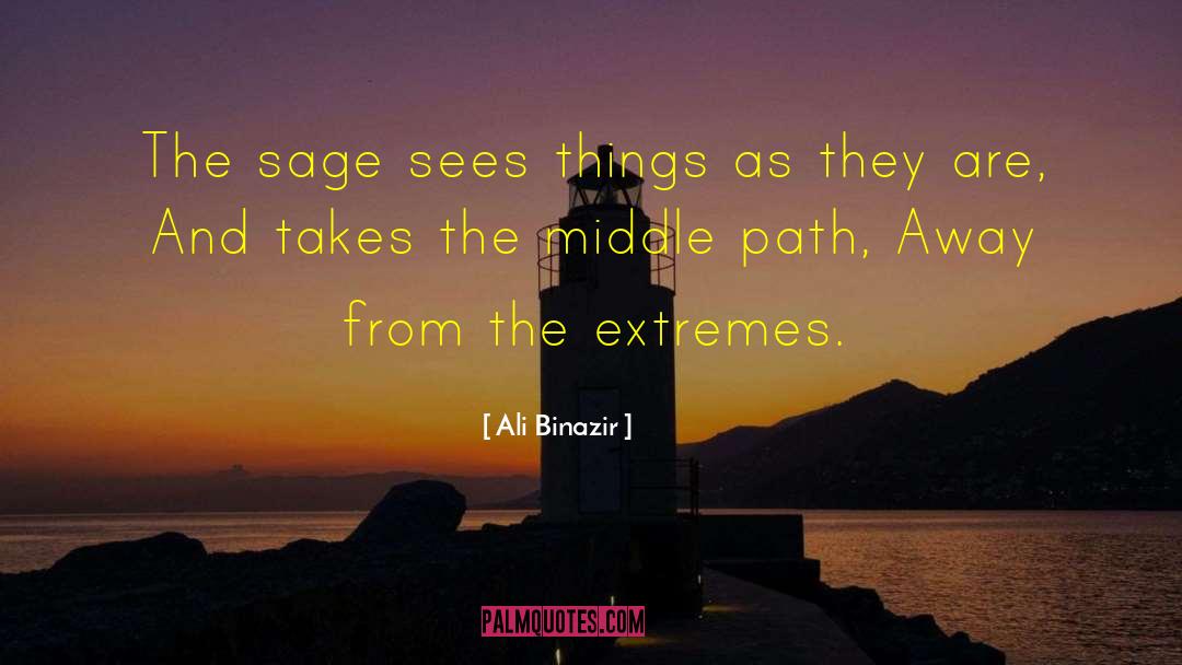 Ali Binazir Quotes: The sage sees things as